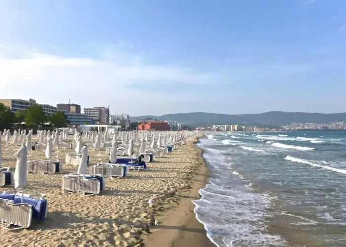 Sunny Dreams A 26 One Bedroom Big Balcony Apartment *